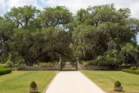 Boone Hall Plantation & Gardens images