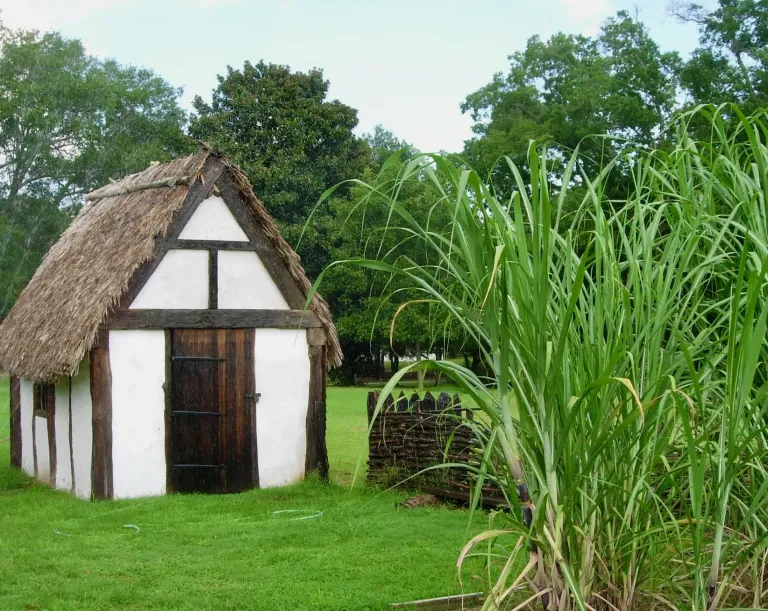 Charles Towne Landing State Historic Site images