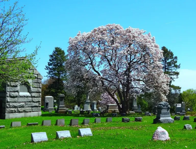 Magnolia Cemetery images