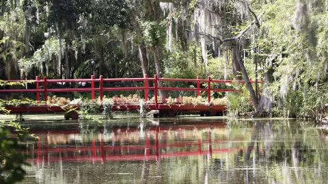 Magnolia Plantation and Gardens images