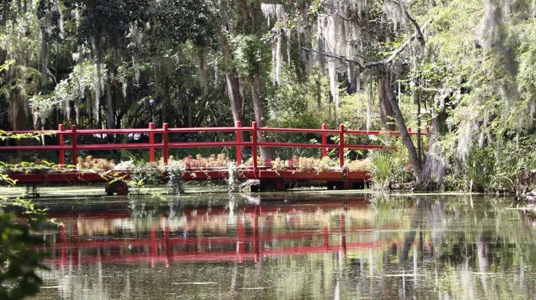 Magnolia Plantation and Gardens images