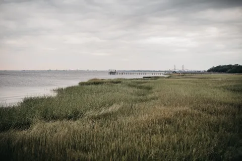 Shem Creek Boardwalk images