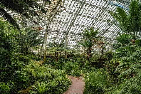 Garfield Park Conservatory images