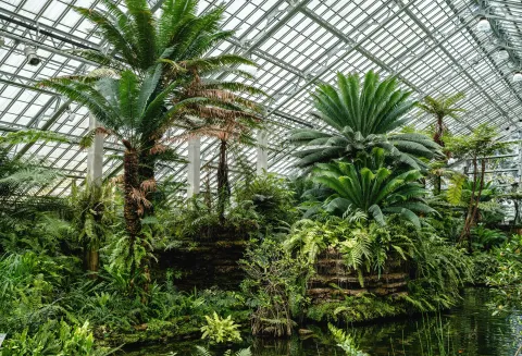 Garfield Park Conservatory images