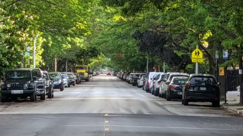 Lincoln Park images
