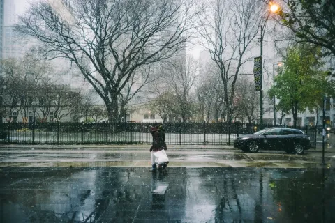 Museum of Contemporary Art images