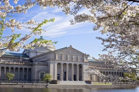 Museum of Science and Industry images