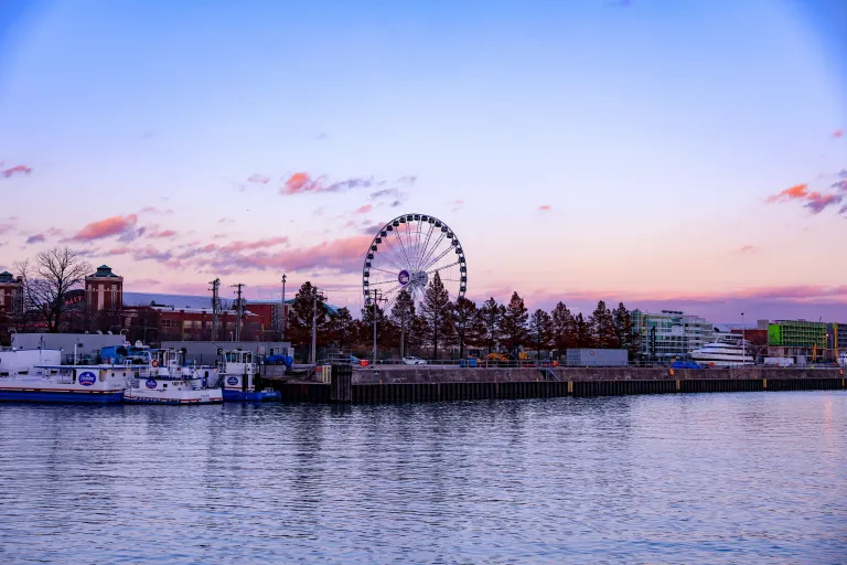 Navy Pier images