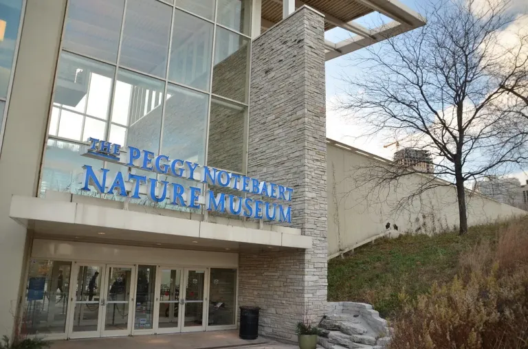 The Peggy Notebaert Nature Museum images