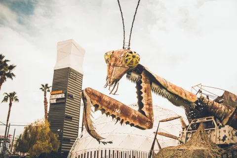 Downtown Container Park images