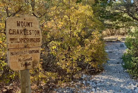 Mount Charleston Wilderness Area images