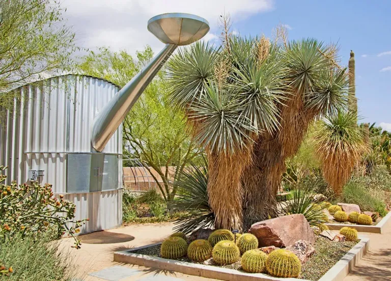 Springs Preserve images