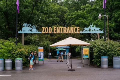 Bronx Zoo images