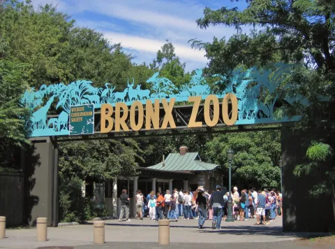 Bronx Zoo images