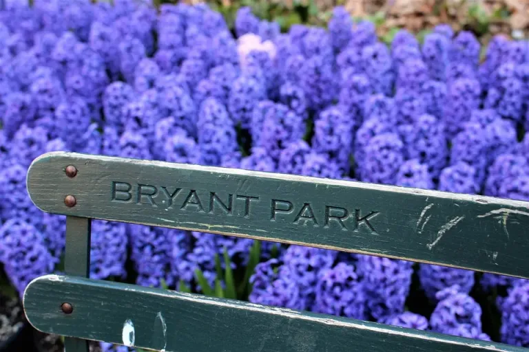 Bryant Park images