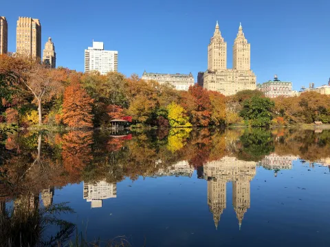 Central Park images