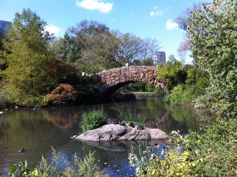 Central Park images