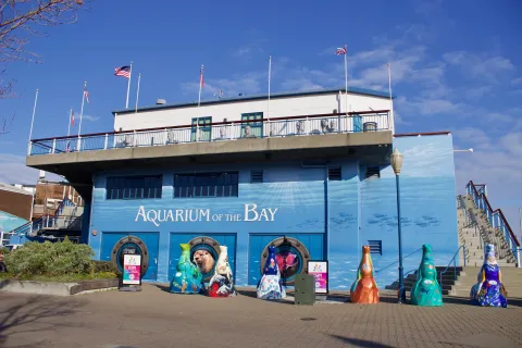 Aquarium of The Bay images