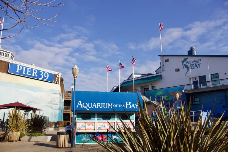 Aquarium of The Bay images
