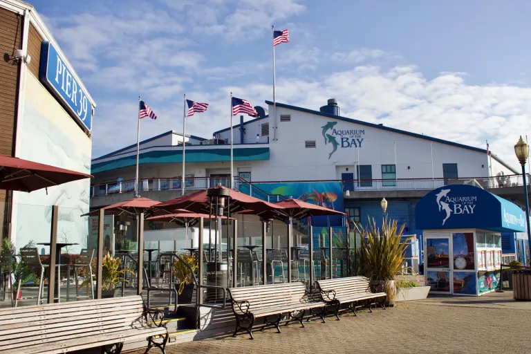 Aquarium of The Bay images
