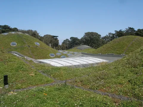 California Academy of Sciences images