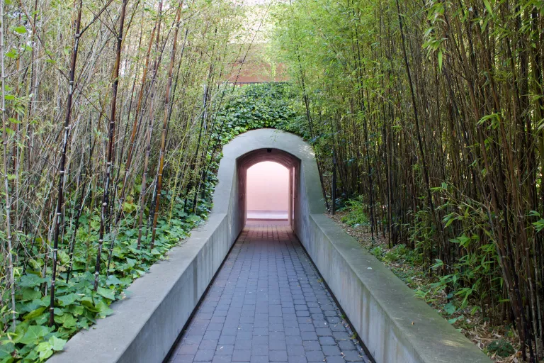 De Young Fine Arts Museum images