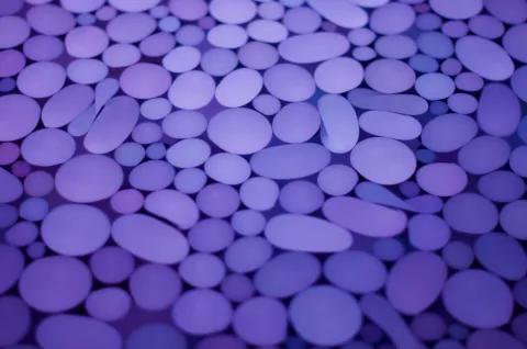 Exploratorium images