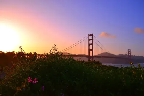 Golden Gate Park images