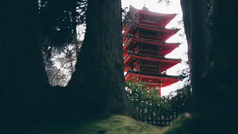 Japanese Tea Garden images