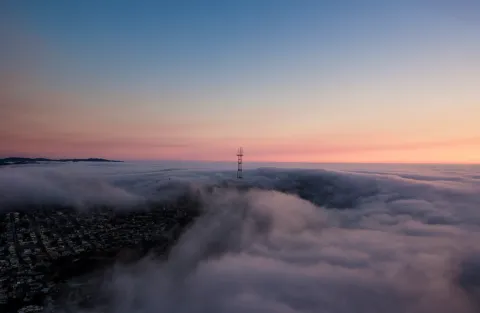 Mount Sutro Cloud Forest images