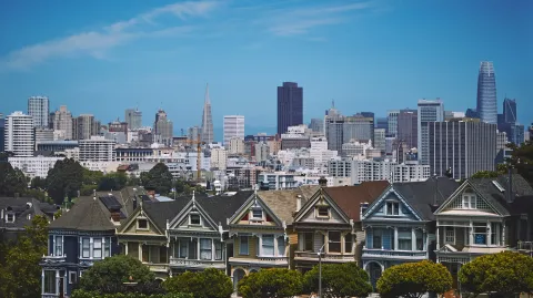 Painted Ladies images