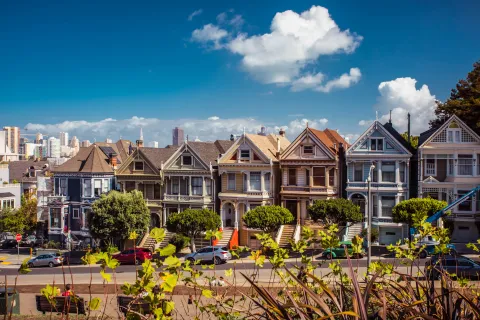 Painted Ladies images