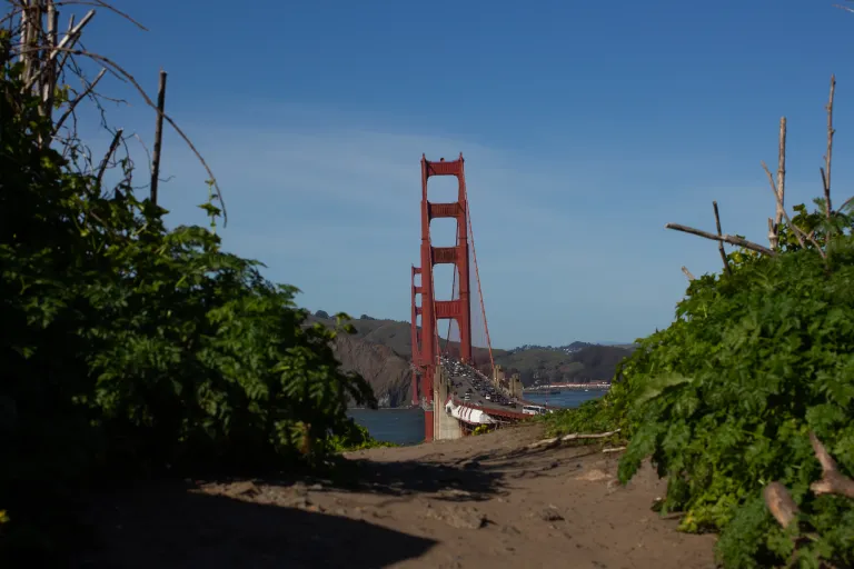 Presidio of San Francisco images