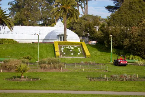 The Conservatory of Flowers images