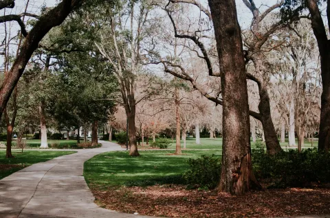 Forsyth Park images