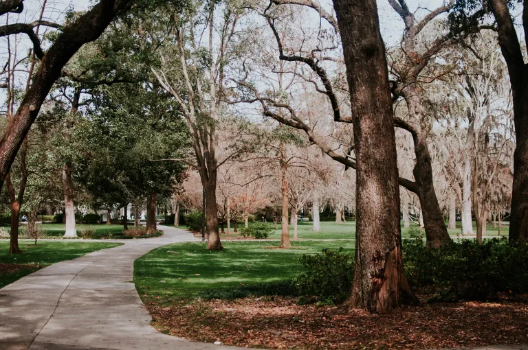 Forsyth Park images