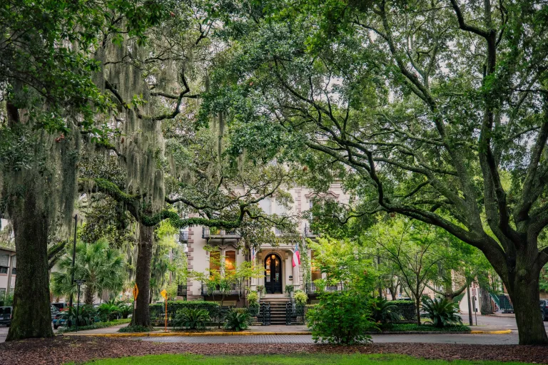 Savannah Historic District images