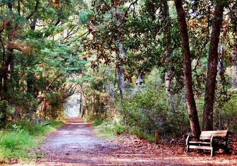 Skidaway Island State Park images